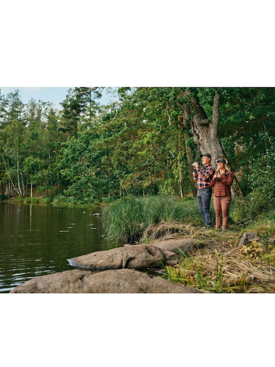 Pinewood