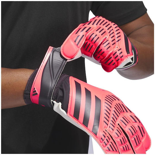 adidas Predator Голмански ръкавици за Възрастни Розов