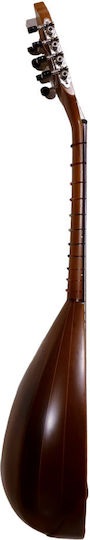 Acoustic Mandolin Curupoto
