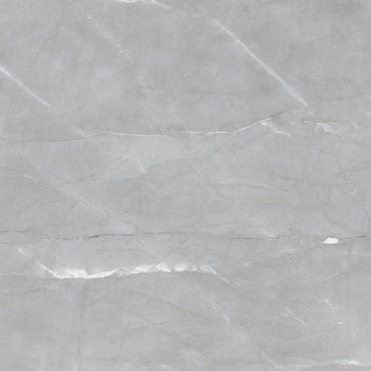 Panthermica Placă Perete Interior Mat 120x120cm Gri