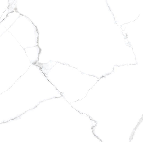 Panthermica Fliese Boden / Wand Innenbereich 240x80cm White