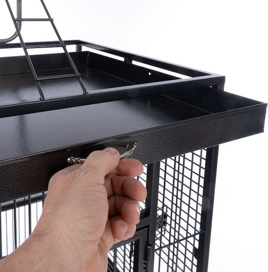 Cage For Small Medium Parrots Paris 82x78x164
