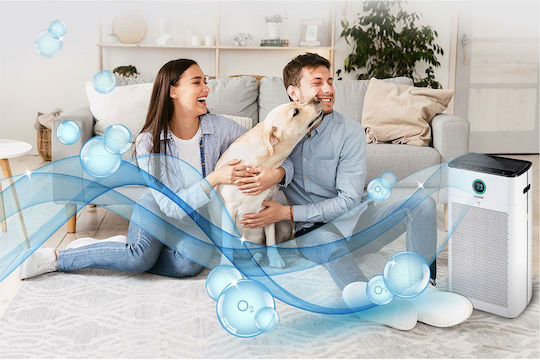 Toyotomi Καθαριστής Αέρα 50W για Χώρους 70m²