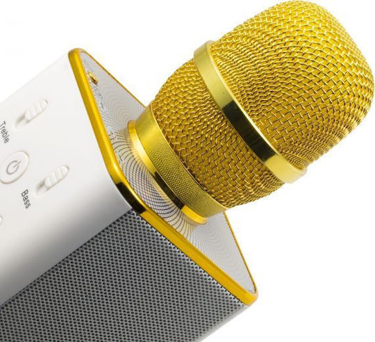 Technaxx Karaoke-Mikrofon Kabellos BT-X31 4685 Gold