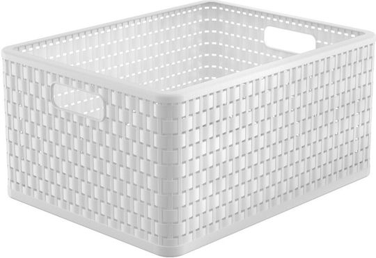 Rotho Babydesign Kunststoff Aufbewahrungsbox mit Deckel 28lt
