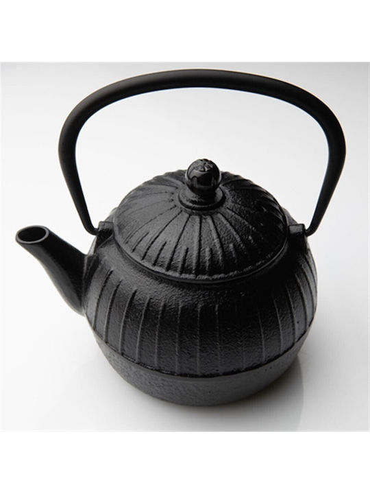 Dinox Teapot Cast Iron Black 500ml
