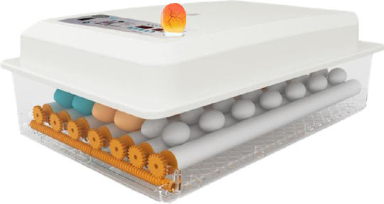 XWK36 Automatic Incubator 36 eggs with Atomization System & Automatic Water Supply Bases