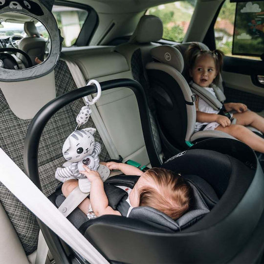 FreeOn Pendant Toy for Crib and Stroller for 0++ Months