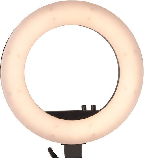 Activeshop Ringlicht 45.72cm und Halterung für Handy