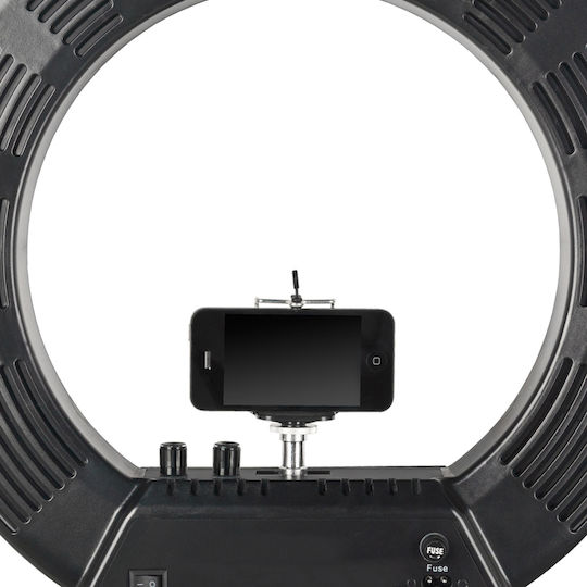 Activeshop Ringlicht 45.72cm und Halterung für Handy