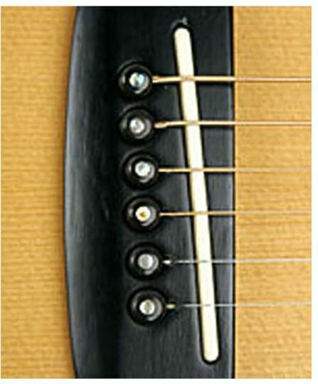 Daddario Bridge Pins with End Pin Set String Instrument Accessory in Black Color