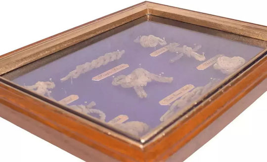 SP Souliotis Decorațiuni Pentru Perete 25x25cm