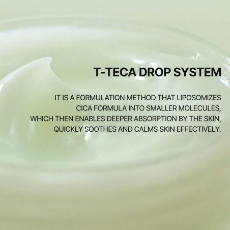 Torriden Balanceful Licht Creme Gesicht Tag mit Centella Asiatica 80ml