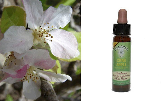 Crystal Herbs Дива ябълка (crab Apple) Антоесенция 10мл 1бр