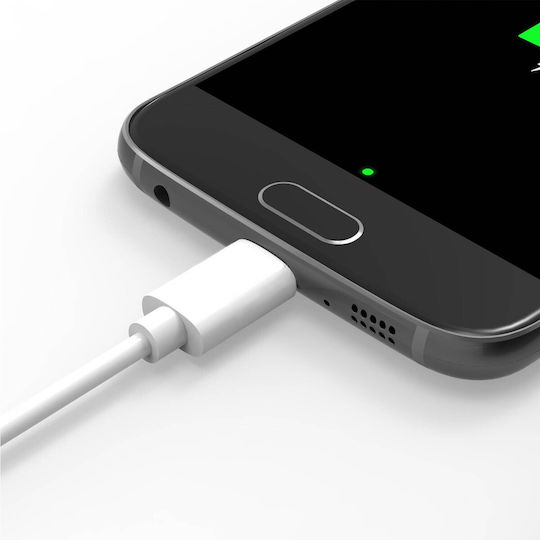 Usb To Usb Type-c 2m Charge & Sync Cable White
