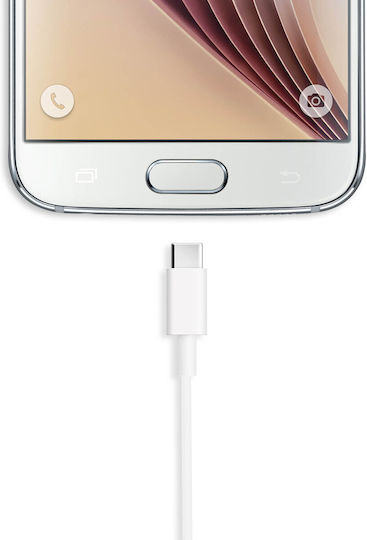 Usb To Usb Type-c 2m Charge & Sync Cable White
