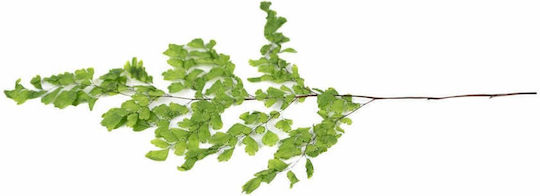 Букет от изкуствени цветя Fern Green 10см Selected by Pragmatic