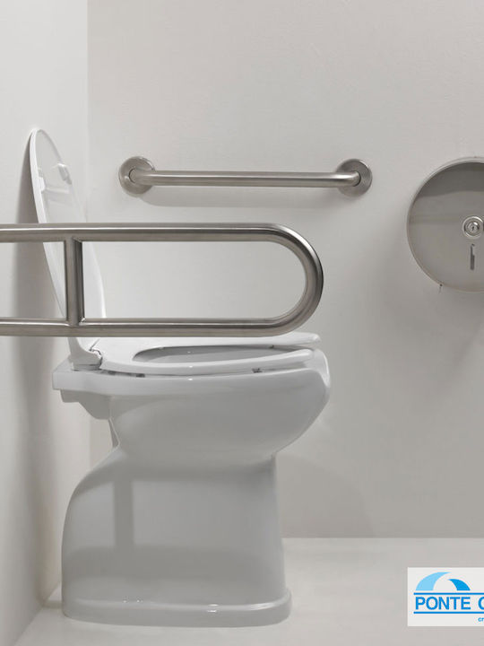 Ponte Giulio Reclining Inox Bathroom Grab Bar for Persons with Disabilities Silver