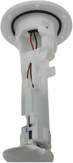 Complete Fuel Pump Sym Citycom 300cc/gts 250cc-300cc etc -lef Roc119916