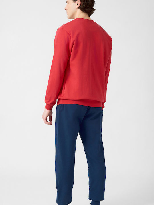 Minerva Red