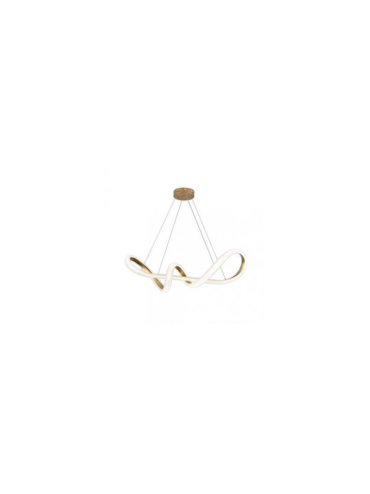 Inlight Pendant Light Gold LED with Warm to Cool White Light 120x120cm