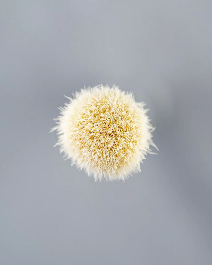 Blery Cosmetics Makeup Brush for Eye Shadow made of Natural Hair