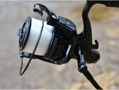 Prowess Fishing Reel for Spinning and Casting