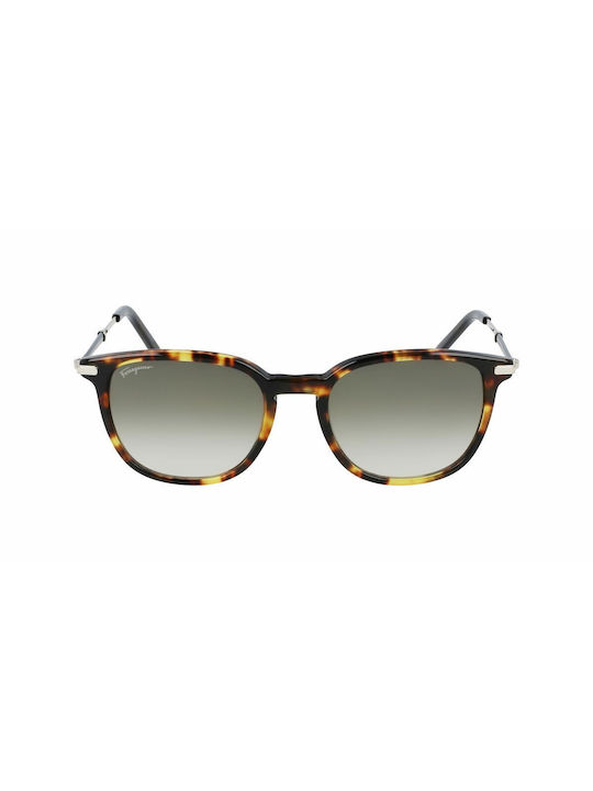 Salvatore Ferragamo Sunglasses with Brown Tartaruga Frame and Gray Gradient Lens SF1015S-242