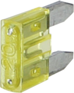 ACV Car Fuse