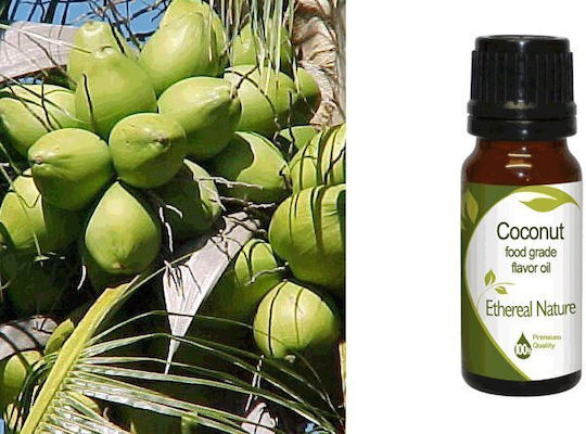 Nature & Body Кокос At Coconut Fg Етерично Масло Кокос 10ml