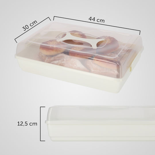 Kadax Plastic Container Cake Pastries Rectangular Large Box