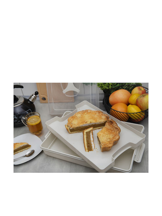 Kadax Plastic Container Cake Pastries Rectangular Large Box