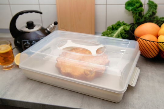 Kadax Plastic Container Cake Pastries Rectangular Large Box