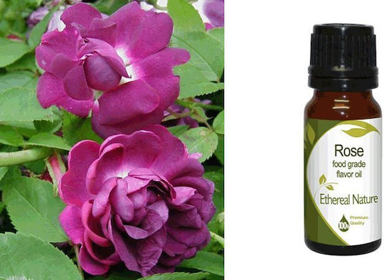 Nature & Body Essential Oil Rose 10ml