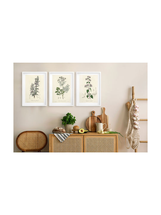 Küchenwandposter Kräuterzweige Dekoratives Kräutergarten 3x 30x40