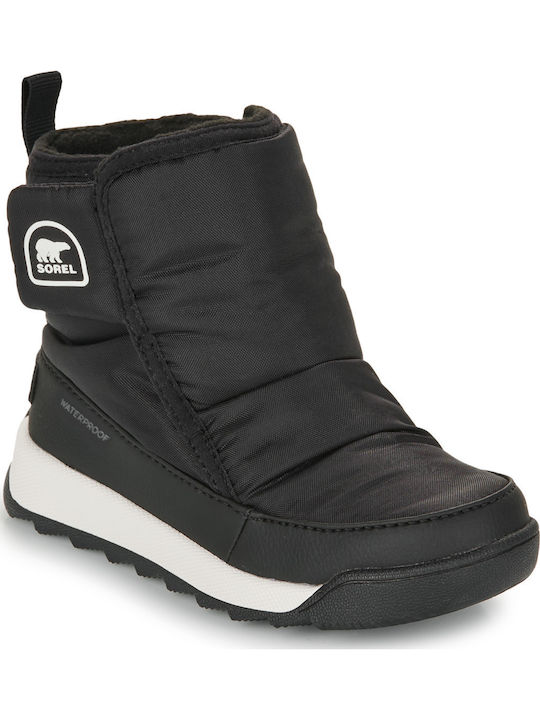 Sorel