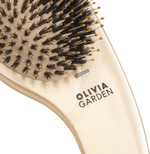 Perie de păr profesională cu peri de mistreț și nailon Expert Care Boar&nylon Gold Olivia Garden Pr