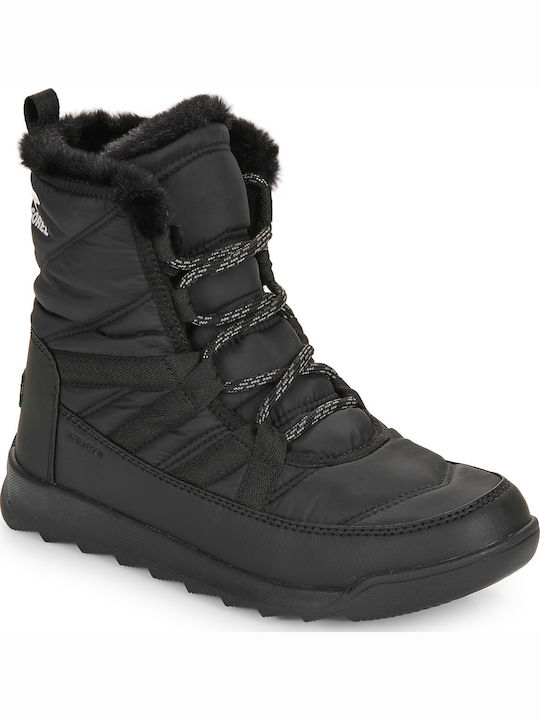 Sorel