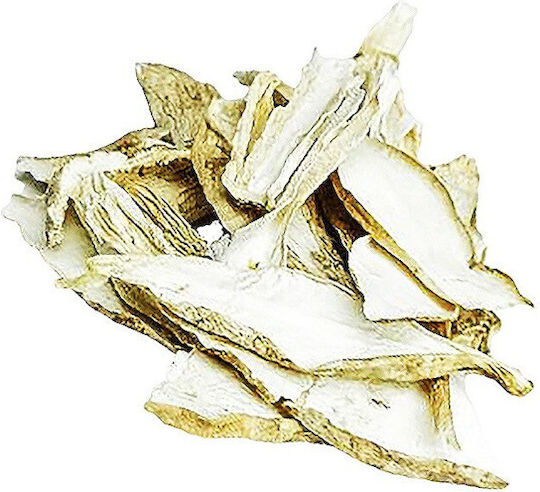 Spice Shop Dried Mushrooms Coprinus 50g