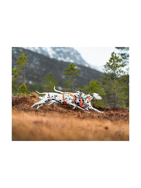 Non-stop dogwear Σαμαράκι Σκύλου Line Harness 5.0, No7 Μαύρο 61-92cm linebk7