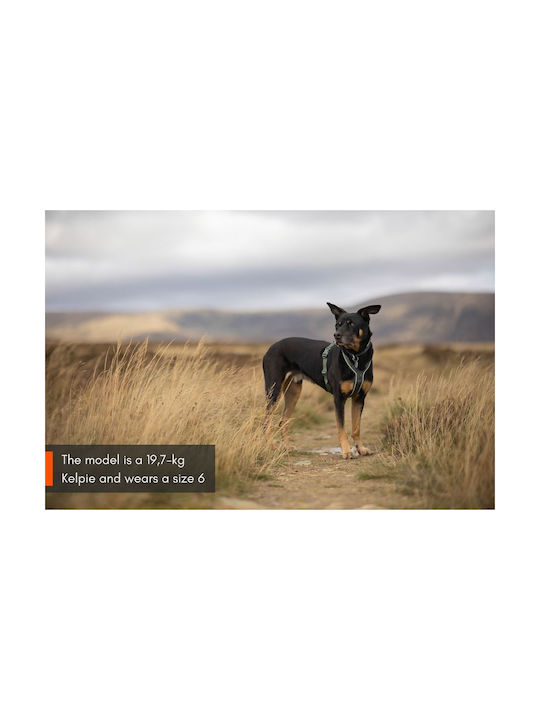 Non-stop dogwear Ham Pentru Câini Line Harness 5.0 No4 Portocaliu 41-68cm lineor4