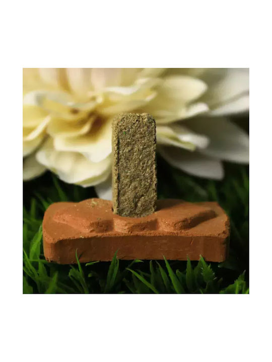 Natural Incense Bricks Palo Santo Green Tree Palo Santo Smudge Bricks
