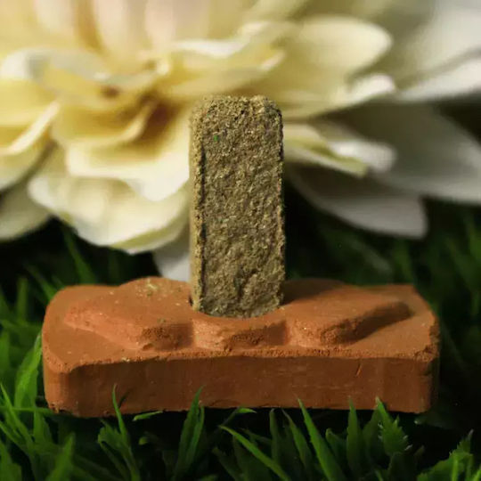 Φυσικά Τούβλα Θυμιάματος Πάλο Σάντο Green Tree Palo Santo Smudge Bricks