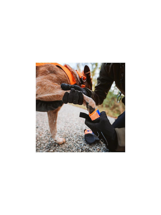 Botosei Protector Non-stop Dogwear _ Botosei de Protecție Xs Lățime 3-4cm Botosei Protector Non-stop Dogwear _ Botosei de Protecție Xs Lățime 3-4cm