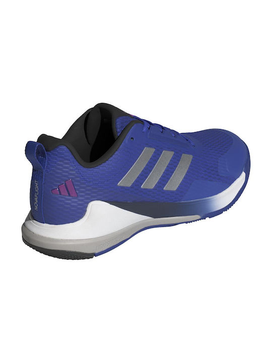 Novaflight 2 Sport Shoes Volleyball Blue