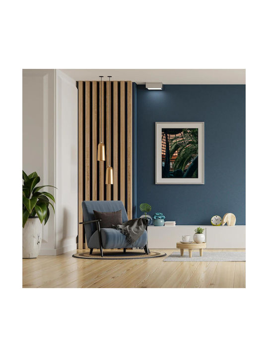 Πίνακας Palm Leaves Under Glass Roof Φύλλα Φοίνικα Κάτω Τη Γυάλινη Στέγη 80x120