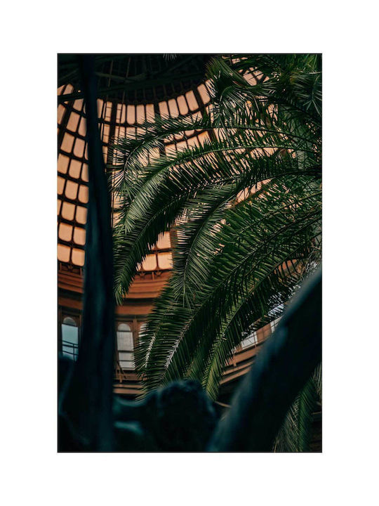 Πίνακας Palm Leaves Under Glass Roof Φύλλα Φοίνικα Κάτω Τη Γυάλινη Στέγη 80x120