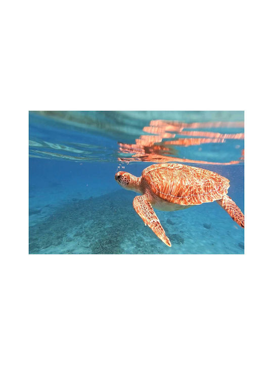 Tablou cu Țestoasă de Mare Înotând Sub Apă 120x80