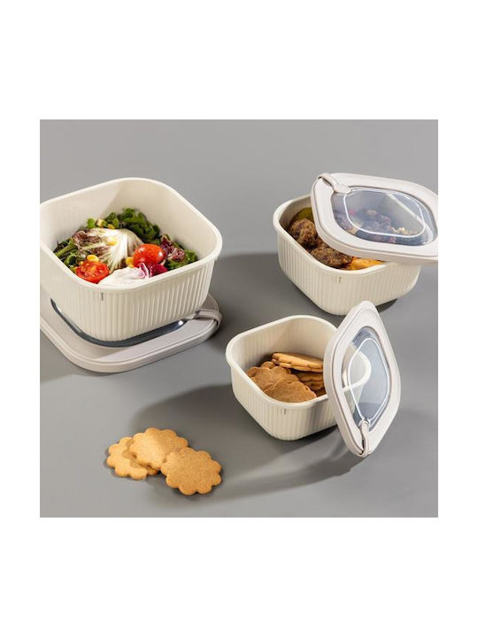 Max Home Lunchbox Kunststoff 1800ml 1Stück