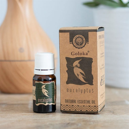 Goloka Natürliches Ätherisches Öl Eukalyptus 10ml